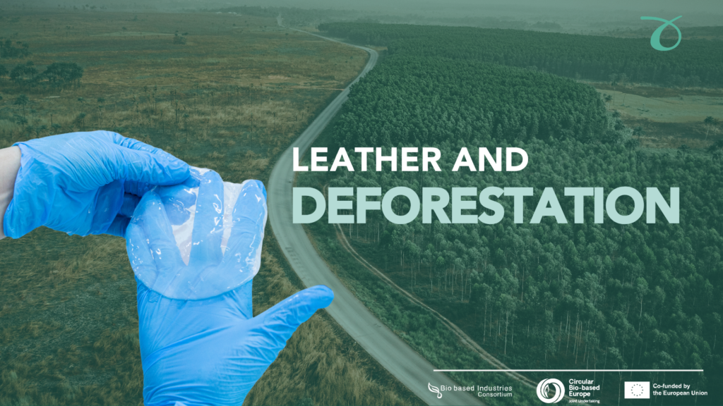 Leather and Deforestation – why bio-based material innovations matter now!